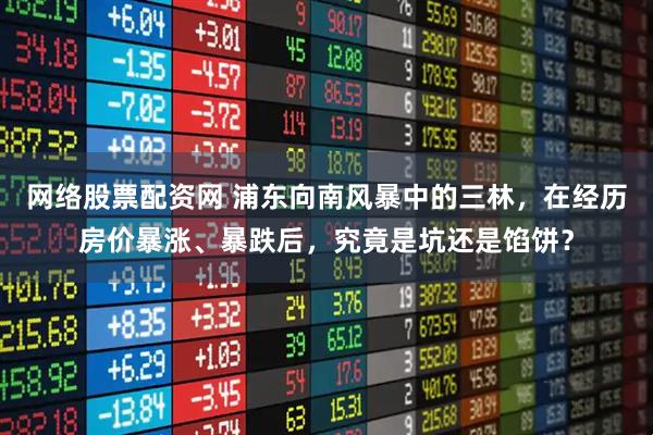 网络股票配资网 浦东向南风暴中的三林，在经历房价暴涨、暴跌后，究竟是坑还是馅饼？