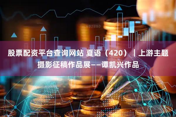 股票配资平台查询网站 夏语（420）｜上游主题摄影征稿作品展——谭凯兴作品